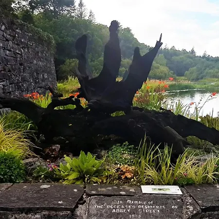 Frühstückspension Ashfield House Failte Ireland Approved Cong