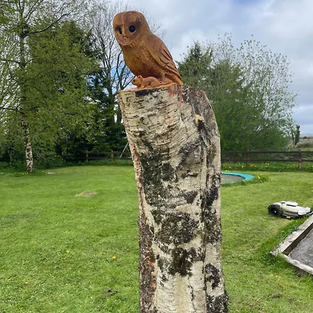 Ashfield House Failte Ireland Approved Frühstückspension *