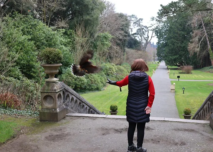 Couette-café Ashfield House Failte Ireland Approved Cong