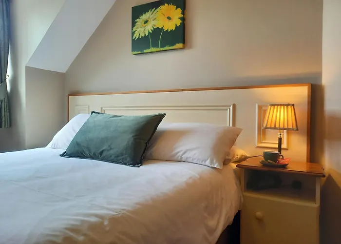 Bed & Breakfast Ashfield House Failte Ireland Approved